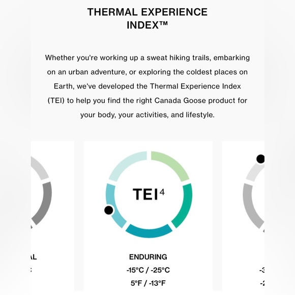 Canada Goose Men’s Emory Parka (S/Navy) **New With Tags** - Picture 7 of 9